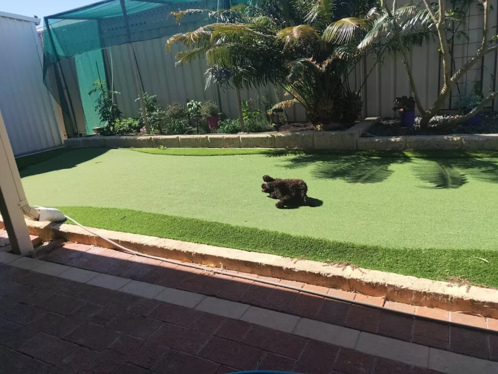 Artificial Grass Warnbro